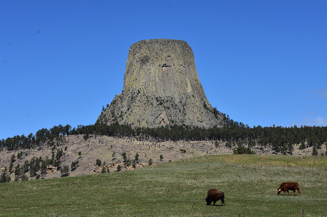 Album thumbnail for Devil's Tower National Monument